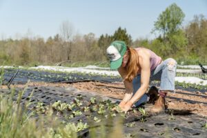 woman planting crop seeds